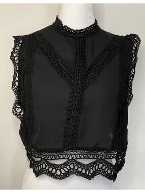 Black Sheer Crop Top Small Sheer Lace Mock Neck Ethereal Whimsigoth Romantic